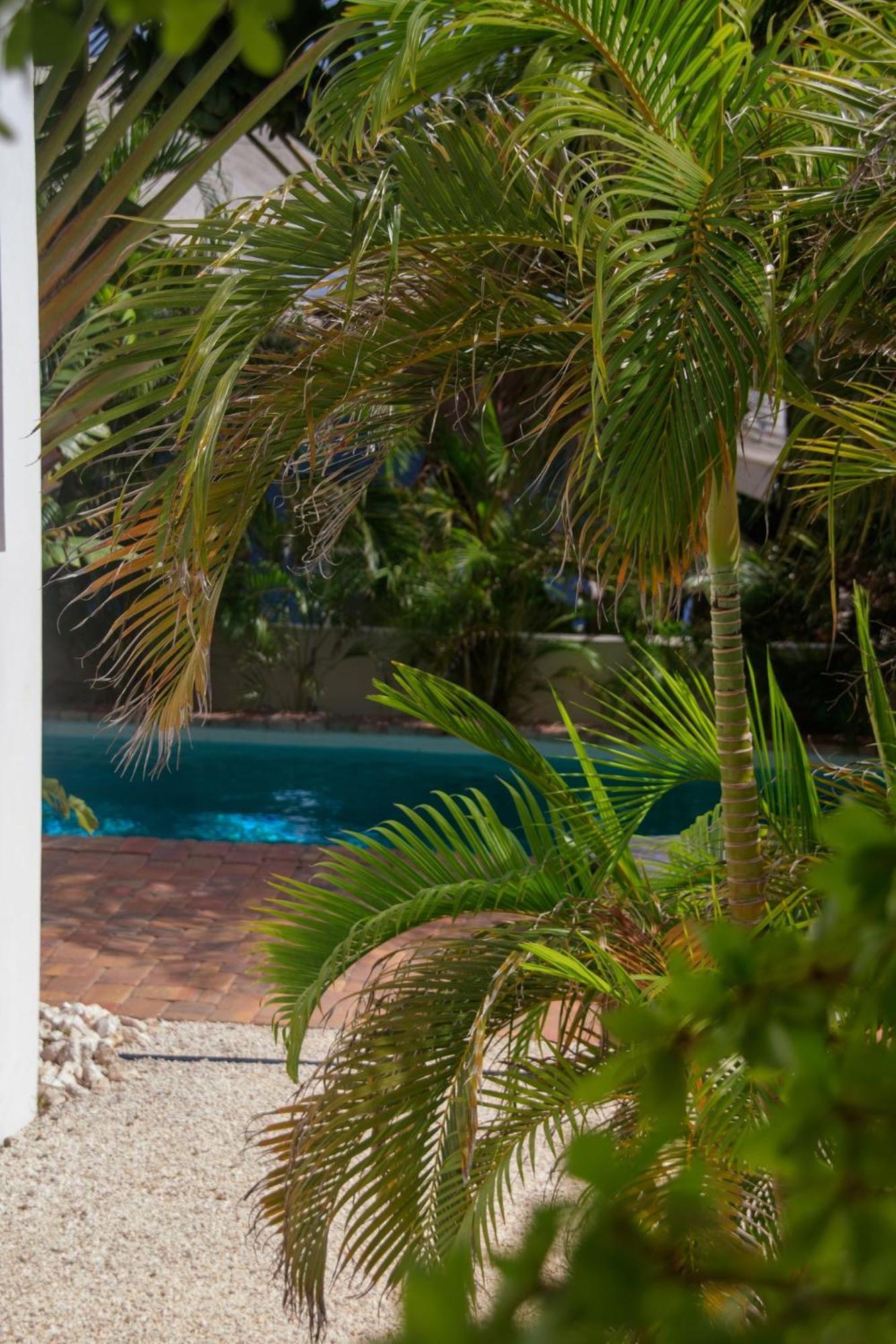 Major. Suites Curacao 빌렘스타트 외부 사진